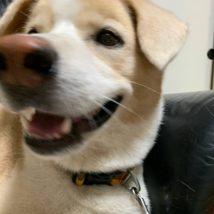 58b4030b 4ce0 456b 976d b5f48d034fda 1600944818965