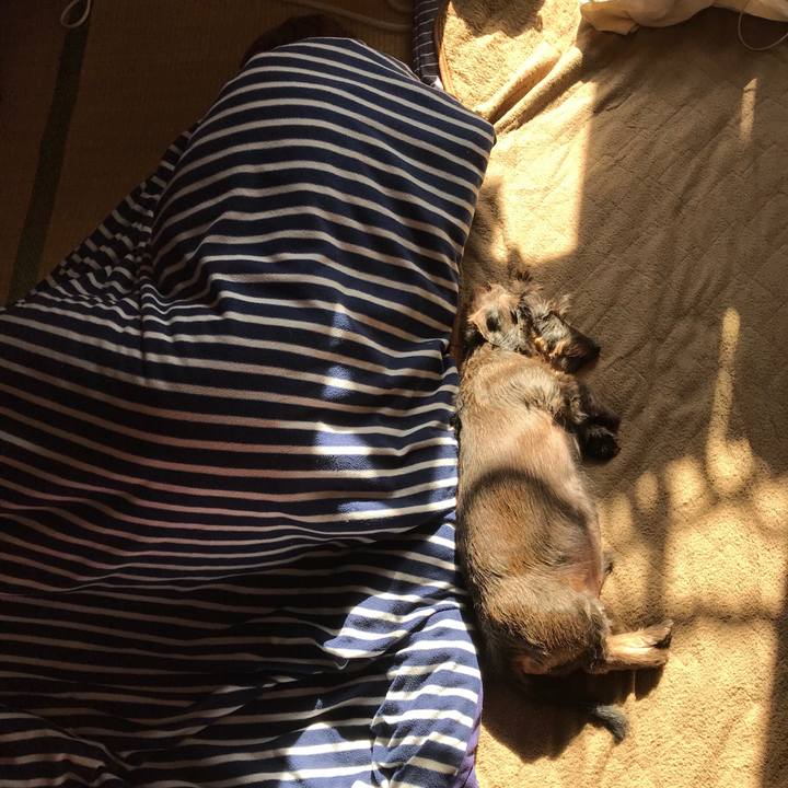 58b44a1f 73b0 434b bd70 a41bc0c6ec2f 1544945143150