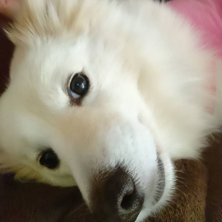 58b453c0 2e6a 4f4d 9e75 41719bc54ccb 1520402654245