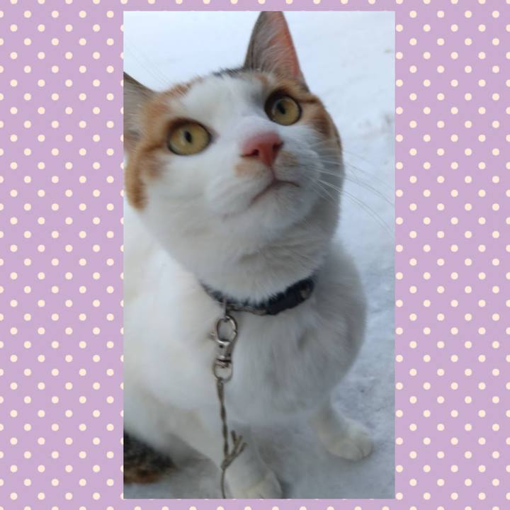 58b45fcc f0e6 40f4 8c3e 1c09e1281382 1770021731733