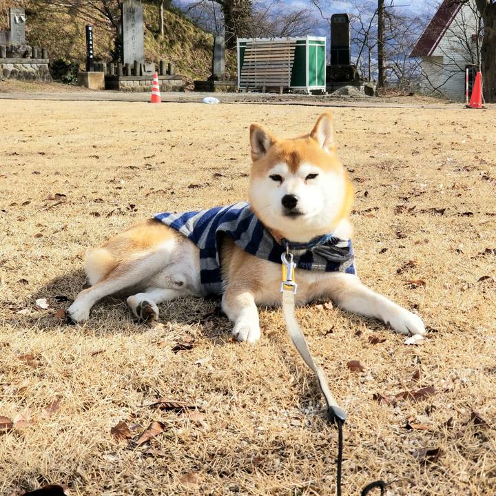 58b4778a a181 405a 94ed f27d34c6e1b6 1579923542156