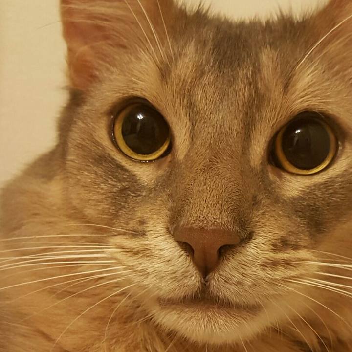 58b48a1e a588 425e a5ba 72bf3c33f8e6 1541194939534