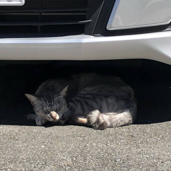 58b49c91 a77d 40ee a753 63c3b35e17db 1633430504379