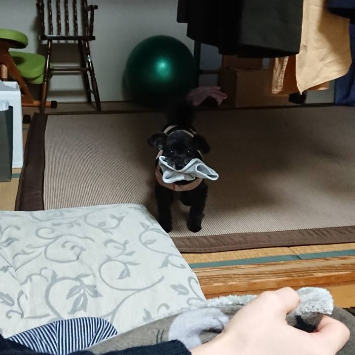 58b4a35c ce5b 4712 bb27 eae95c323767 1577714240740