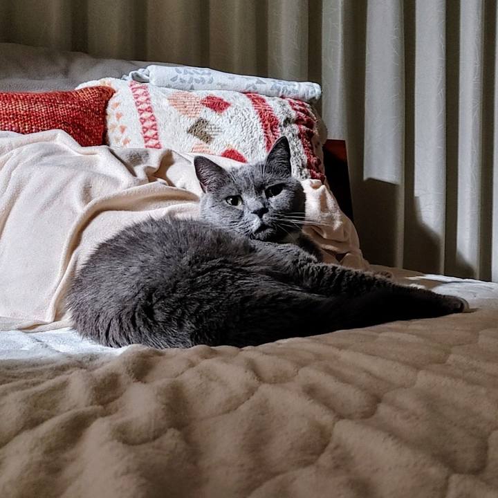 58b4ce90 ee6a 494b 8d01 348959931e31 1734271173071