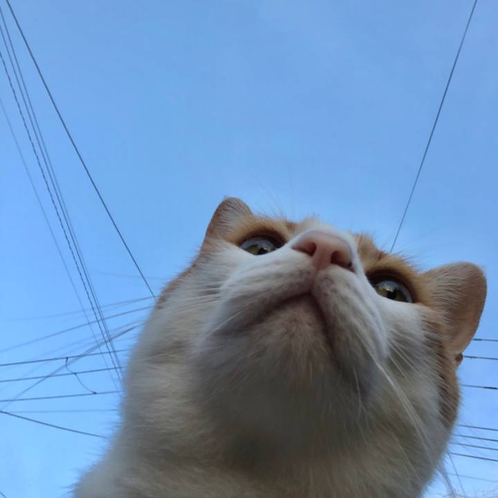 58b50b9a 7a28 4100 932c 86f328a32879 1564950121984