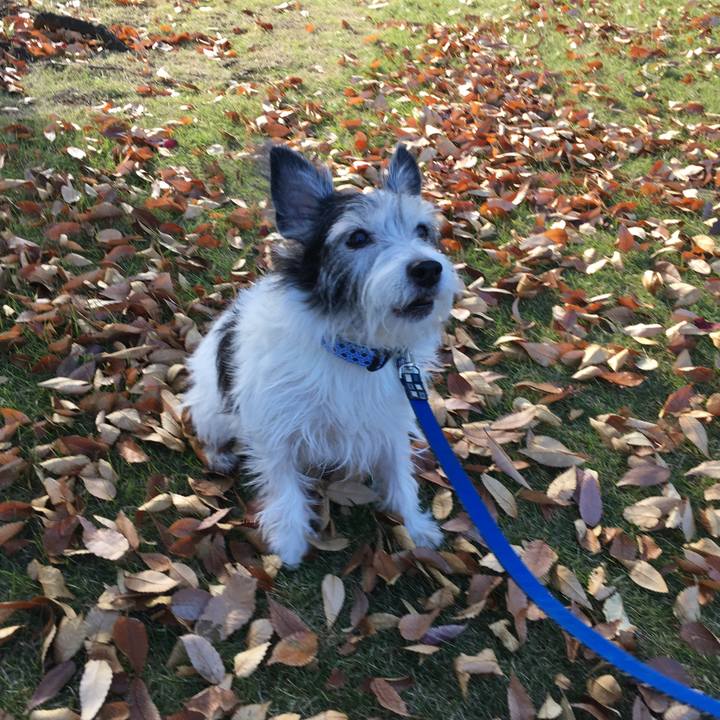 58b52ec3 319f 4c39 bc67 e2eddcfe043d 1510478239372