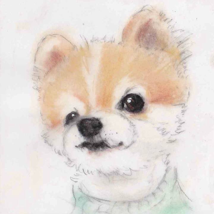 58b56b54 dff5 49a1 851d f31afa351368 1662087570082