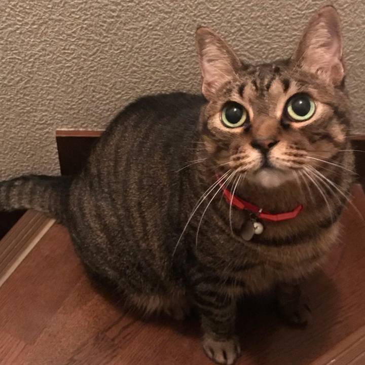 58b58a34 f3d6 4ae7 a33a 8bd88f88defd 1634908665318