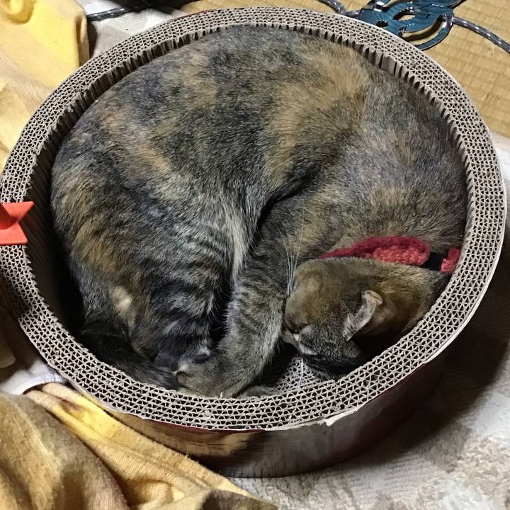 58b5bf39 80ea 40c0 a2c9 d241058da975 1613128356066