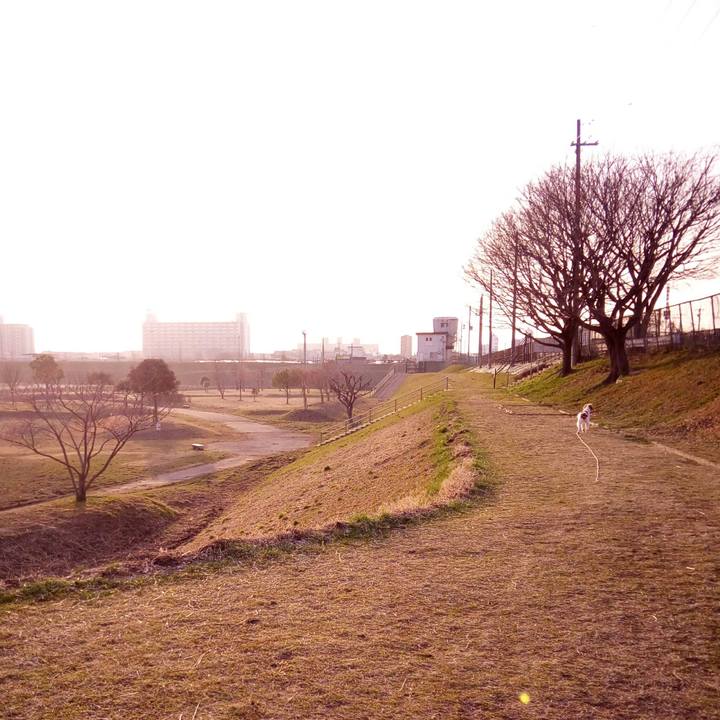 58b5fb4c 9404 4ae1 87e2 3ba8f3a79423 1519115321595