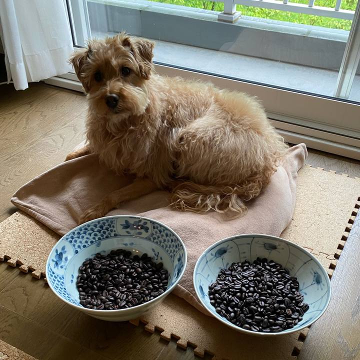 58b651a7 161e 4b3f b781 a6a10575c679 1622250713672