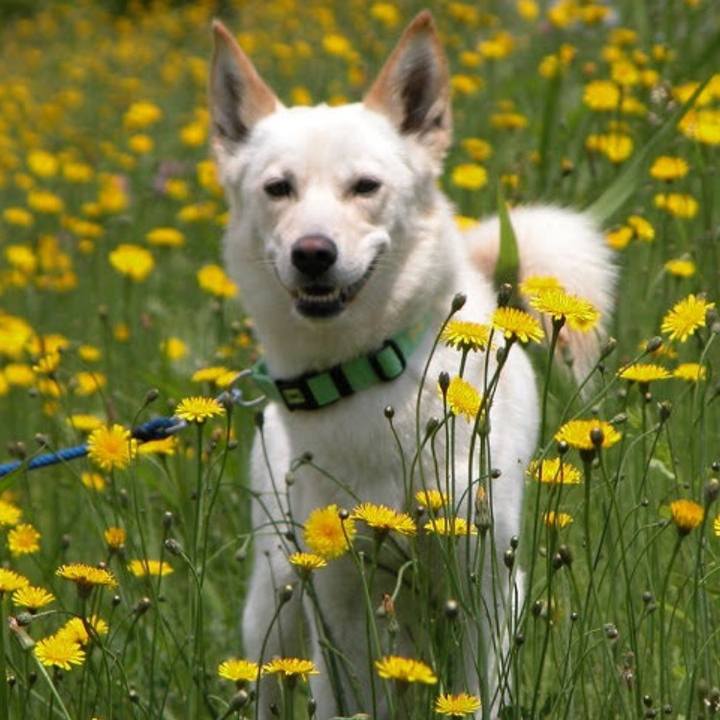 58b6fb00 d1d9 4ab4 8062 789200b4ecb9 1586152327122