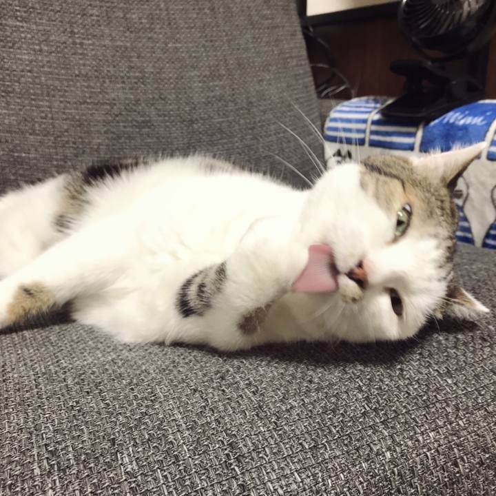 58b702f5 73a2 4c59 8242 59aa603ae982 1598232854871