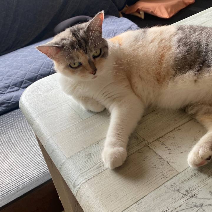 58b7655e 16d9 4c86 9e06 91ba6612324b 1598328696183