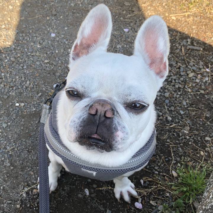 58b768c5 12ec 4746 9b73 7fd18e0dcbce 1649471386221