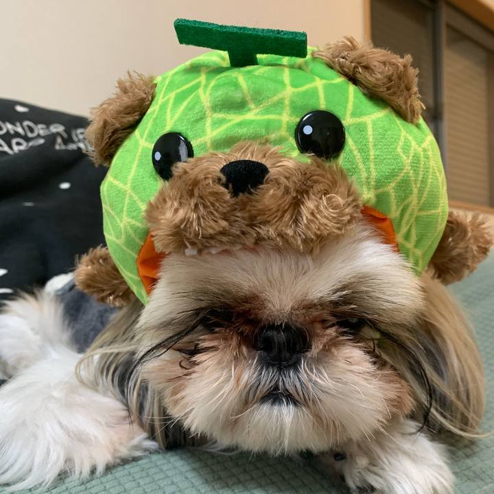 58b78705 d5c7 4cc7 9157 d47a3020ab0c 1673690086691