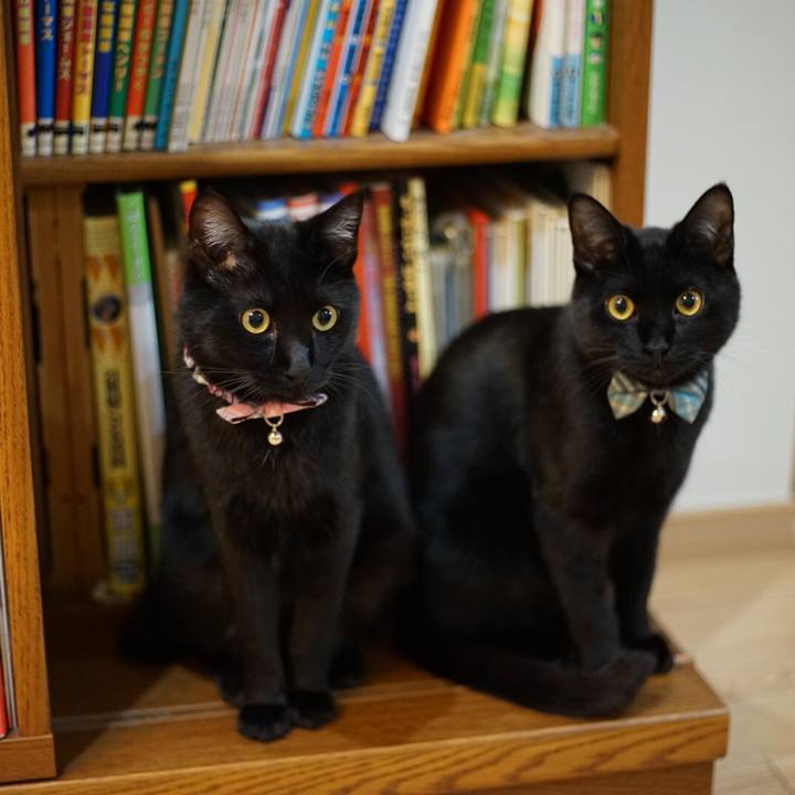 58b7abd6 6547 4de4 98e7 f98d1f511096 1517959950559