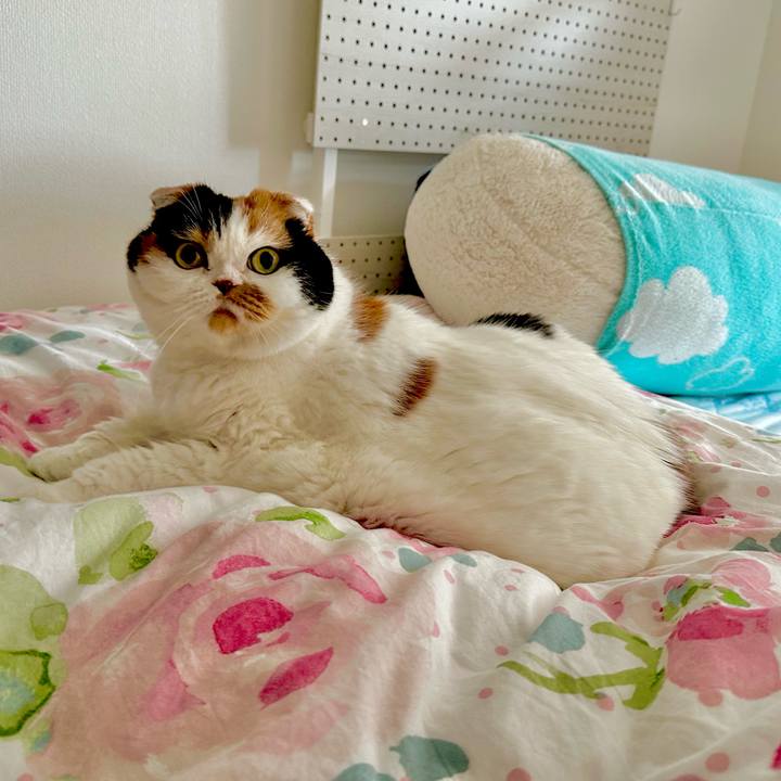 58b7b4bb 3f9d 4abc bde6 be2c3547dd02 1678857361346