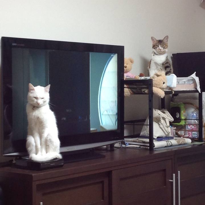 58b7c0d8 539f 4b84 aaea 0e48d8c4d403 1643540938407