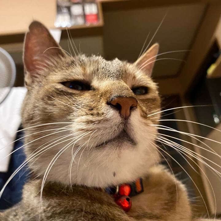 58b7c7f4 89d3 4634 9319 a7dcb37b8f76 1658665837578