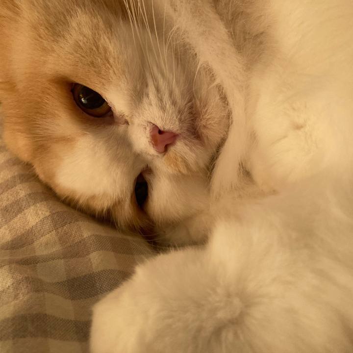 58b84df1 8563 41db 877f 3b2d80cf2552 1634472519120