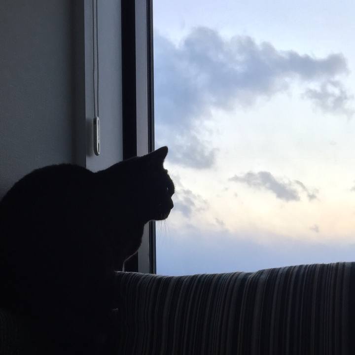 58b8610d 12d2 4b8e 83ab 1a56d790ab71 1514617277707