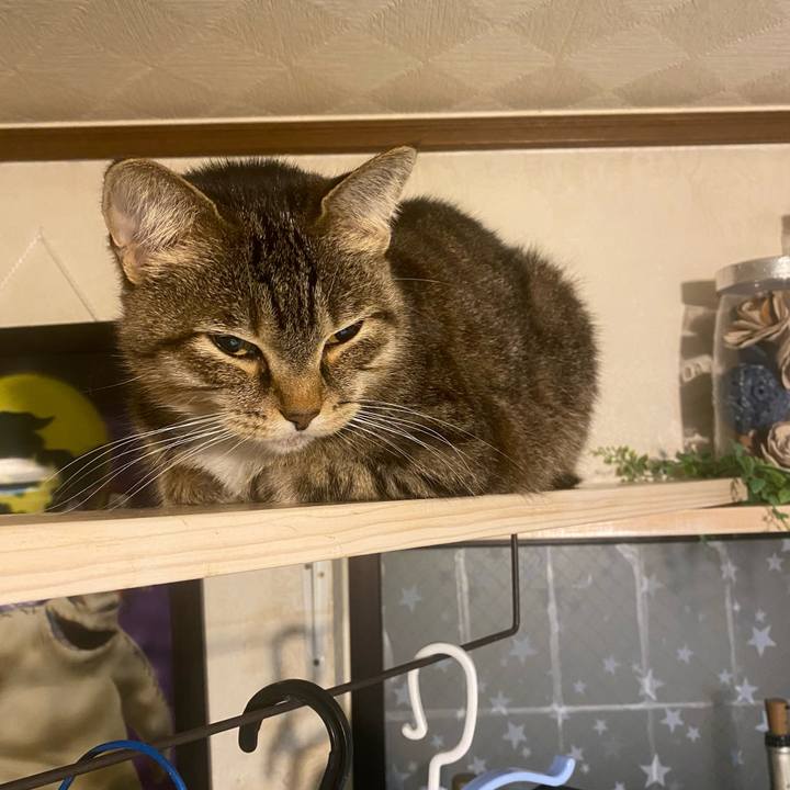 58b8919b 50bc 455e b3cb e40b91d03912 1605745771004