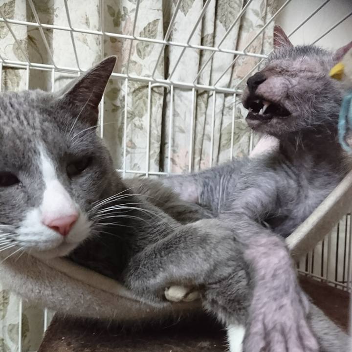 58b8df6a 97bb 4264 94b1 7d4876d2c6ba 1515385051740