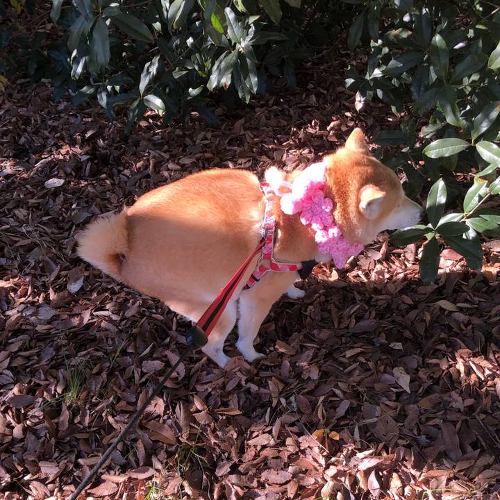 58b8f098 2277 4eb3 b2e9 4a82f12a6e57 1608207511720