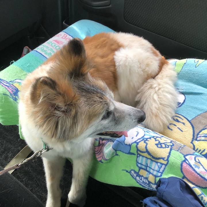 58b8febe 2064 47db 84a9 61f4bad496cd 1534575526678