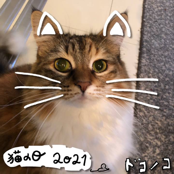 58b9050c bcb8 428a b4af 68dd70751c8a 1613994481616