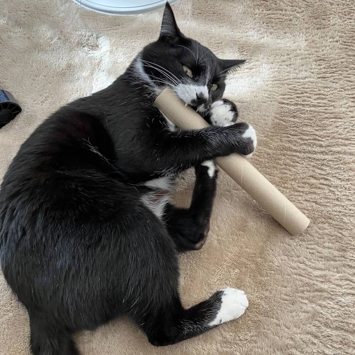 58b9291f 9495 462d a05b a495558161e1 1678420059349