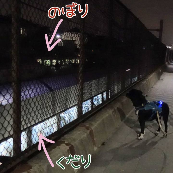 58b93b1e 7458 4b31 aa98 0d981fa5df82 1679915255514