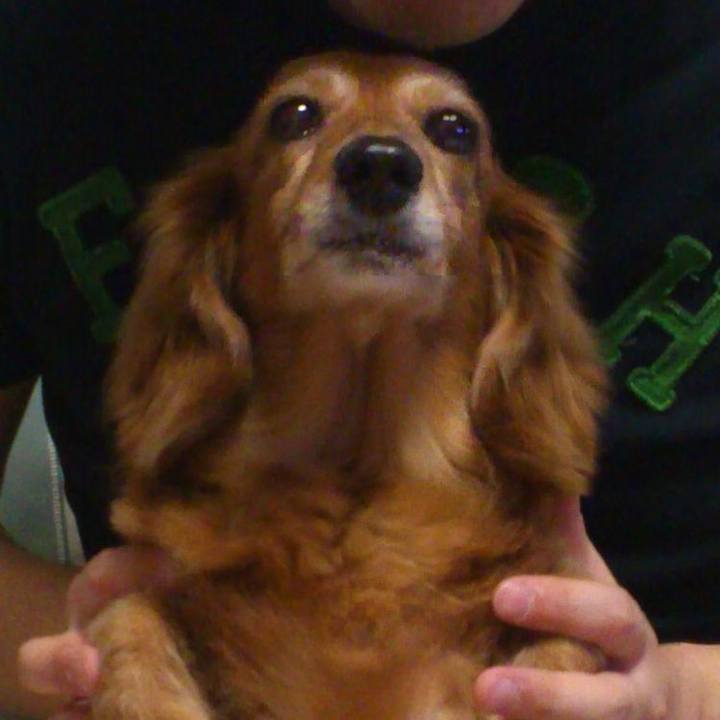 58b9472f de24 48c4 b9ee fcae140148f9 1558029403304