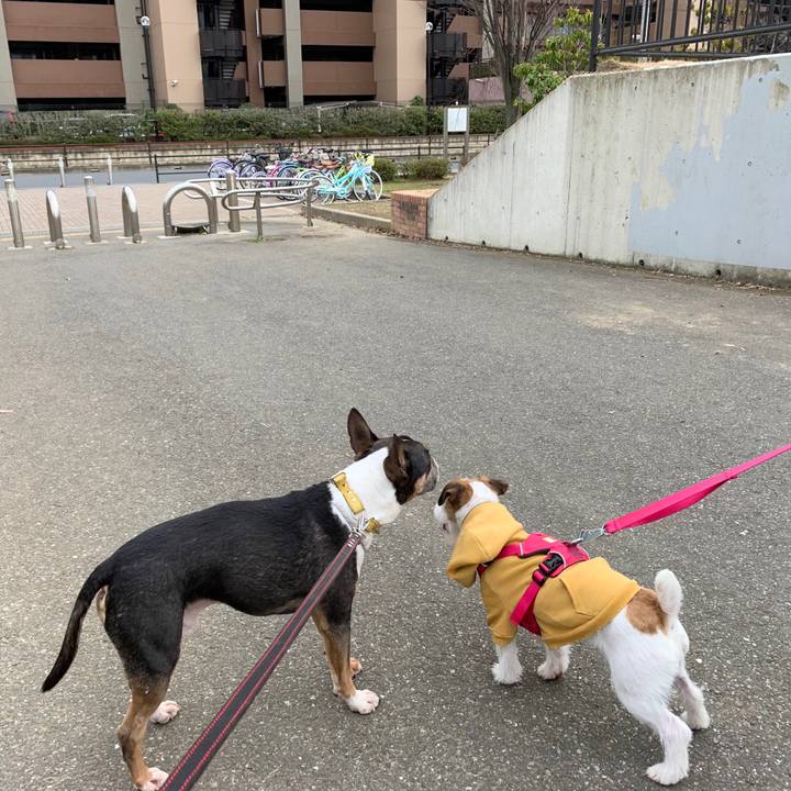 58b97bea 4c3b 433b bd9e 343ac005ba2b 1581758913354