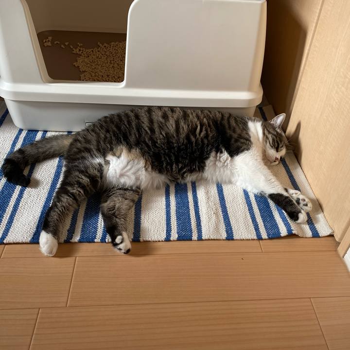 58b987de dc3f 44db 8976 1f4c8e16701e 1687227262267