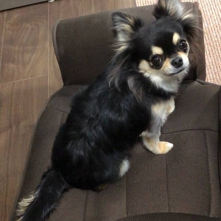 58b9a4da 76f5 4f3f a004 4c99dc18e694 1581112012676