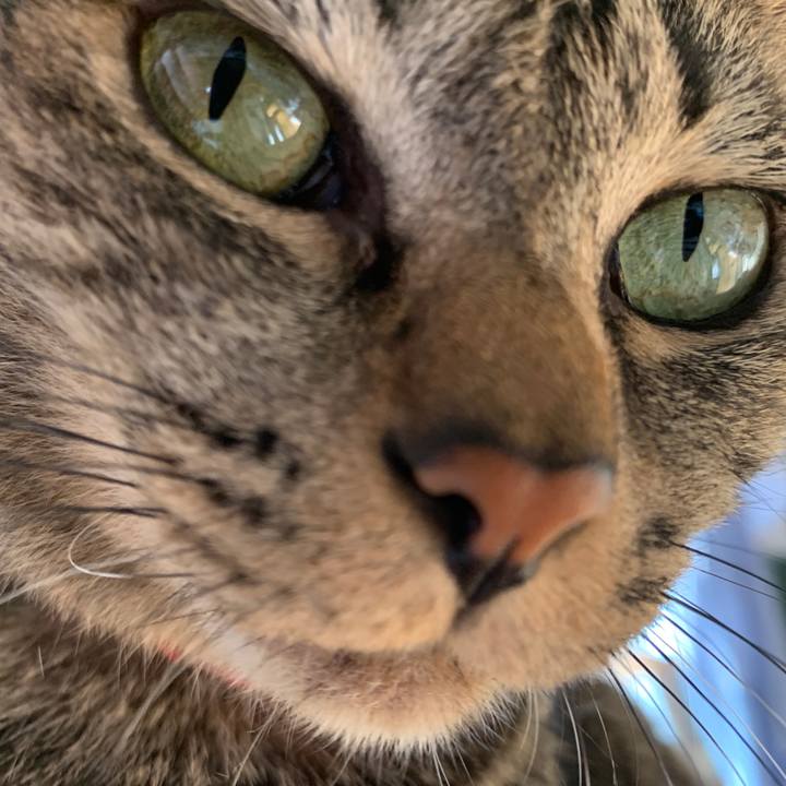 58b9b333 bf18 45a9 8b23 980e111a5287 1569037822150