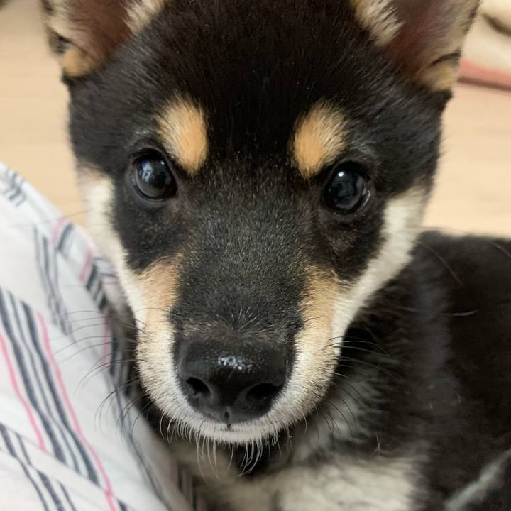 58b9d6ec 752b 47f9 8318 013da4dddf51 1556421594963