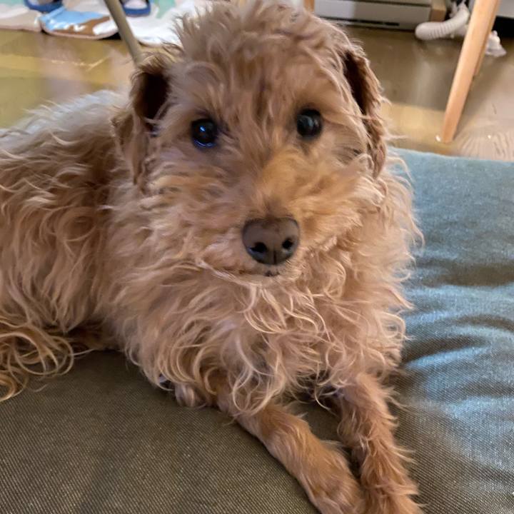 58b9e2b4 9319 4d77 a56b 010ae78b28fa 1672999316994