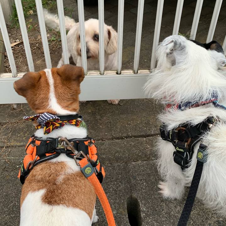 58ba5168 26f1 4e4b a3e3 750add1e1048 1597656878835