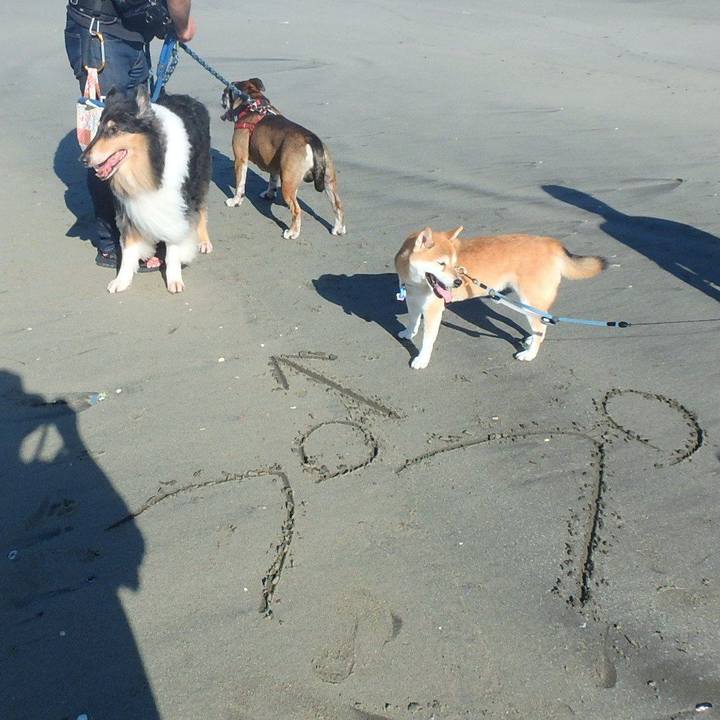 58ba7a8d b38a 488b 8cc6 23d7c4e0e4de 1538055539387