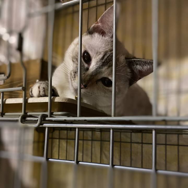 58ba9a09 37b7 496d a351 1cadfe2e762d 1663506275123