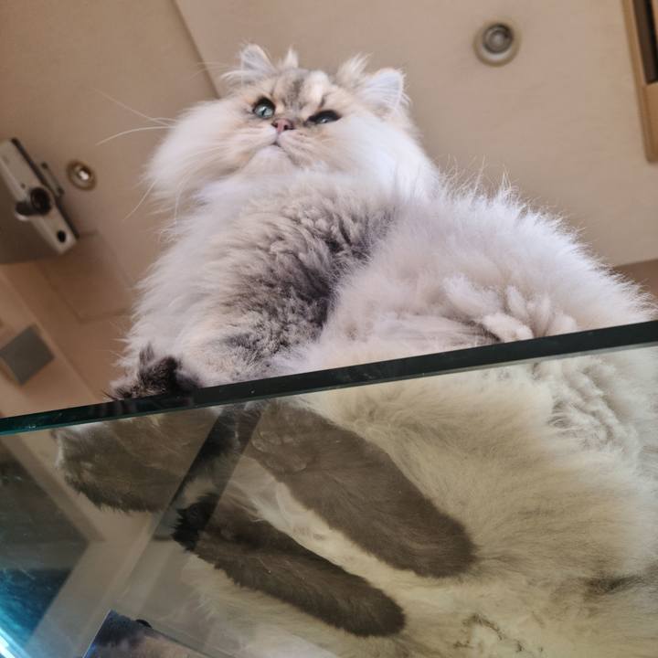 58ba9b66 6ea0 432b be81 1f5f5a8a74d4 1676759337321