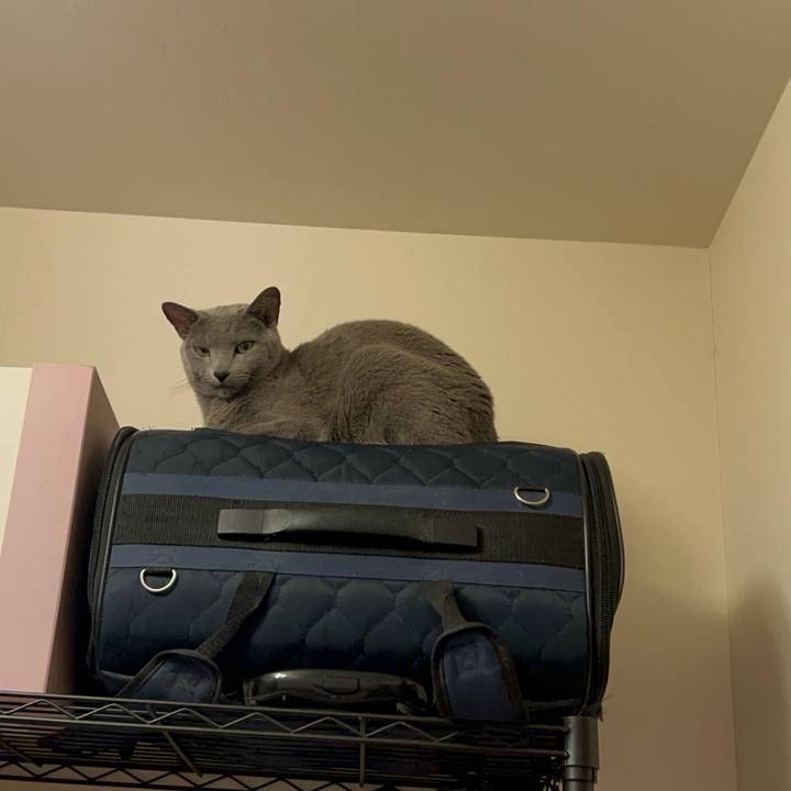 58baad62 77b3 486d 825b 7011770697aa 1739967061164