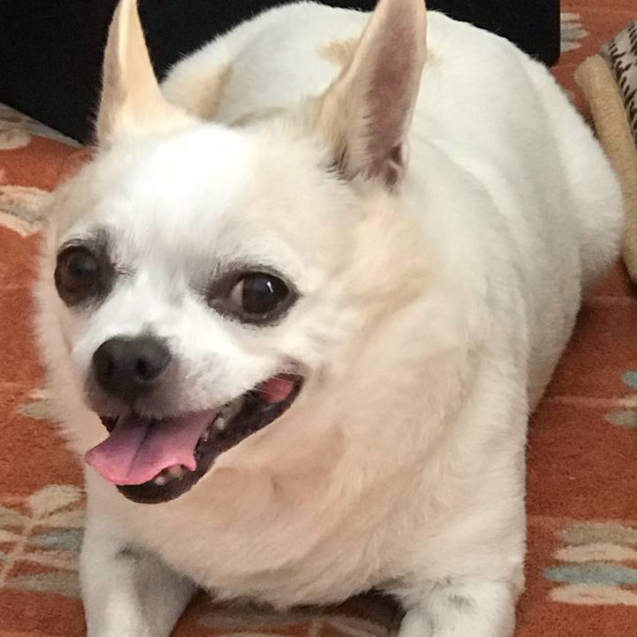 58bad5f9 e803 4900 bf8b 7de9336f15f6 1539907874317