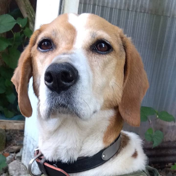 58bb12a0 802c 4850 a41e 4dbac0872f66 1684915305051