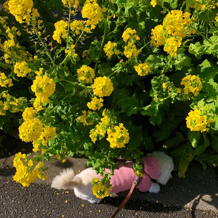 58bb314d 045d 4995 8ff2 98f913b09744 1550629767478