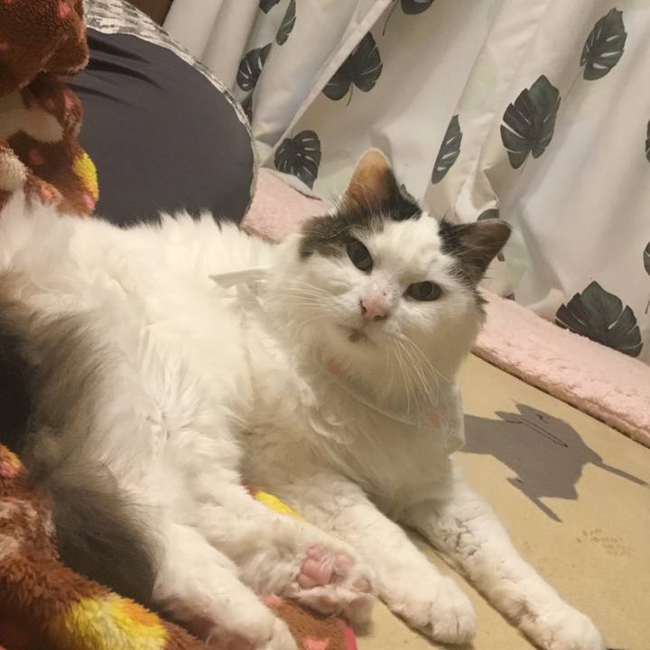 58bb538d d2d0 4479 9261 1bcf0d4d12c7 1580079211260